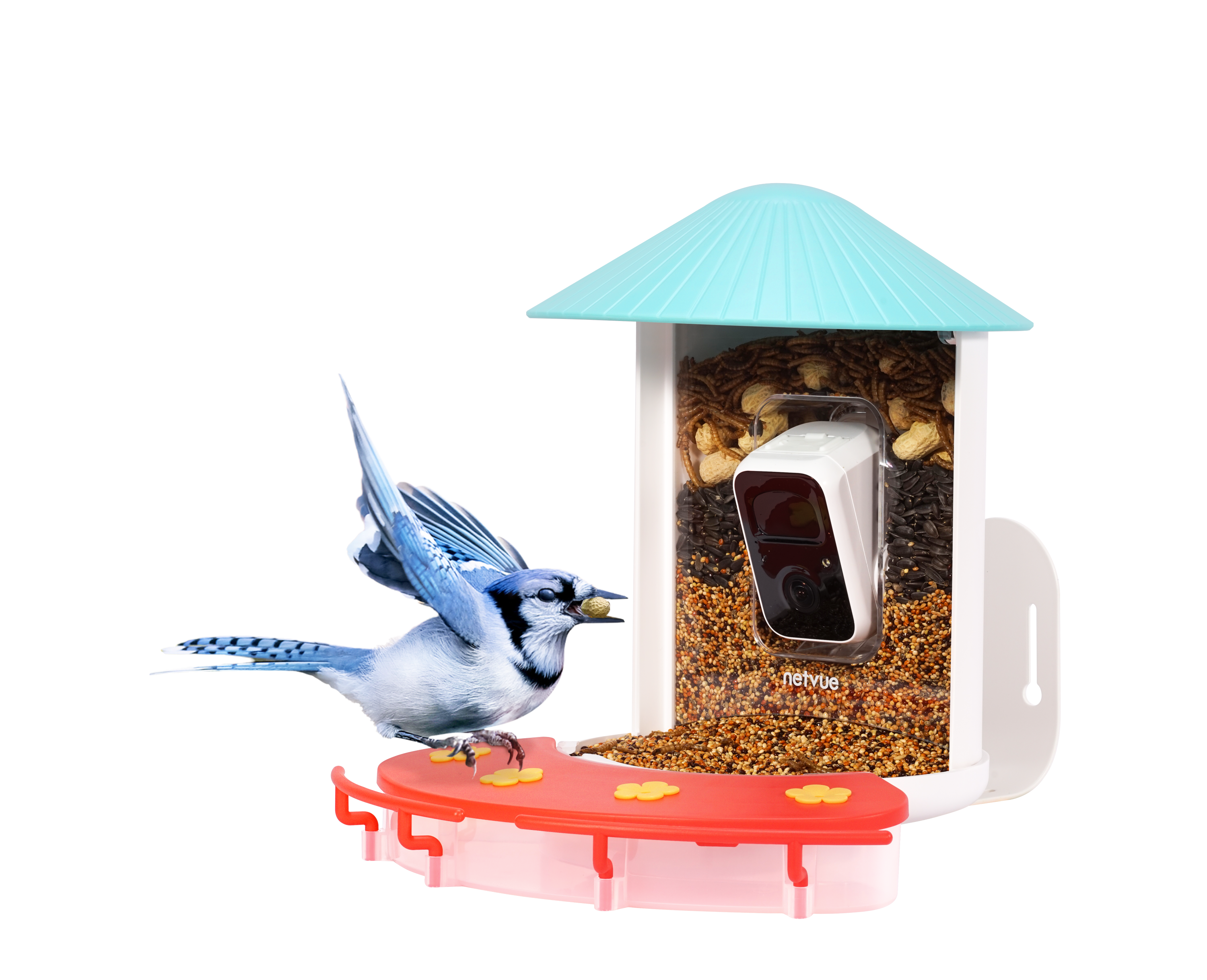 Birdfy Feeder Hummee 1 Birdfy Feeder Hummee 1