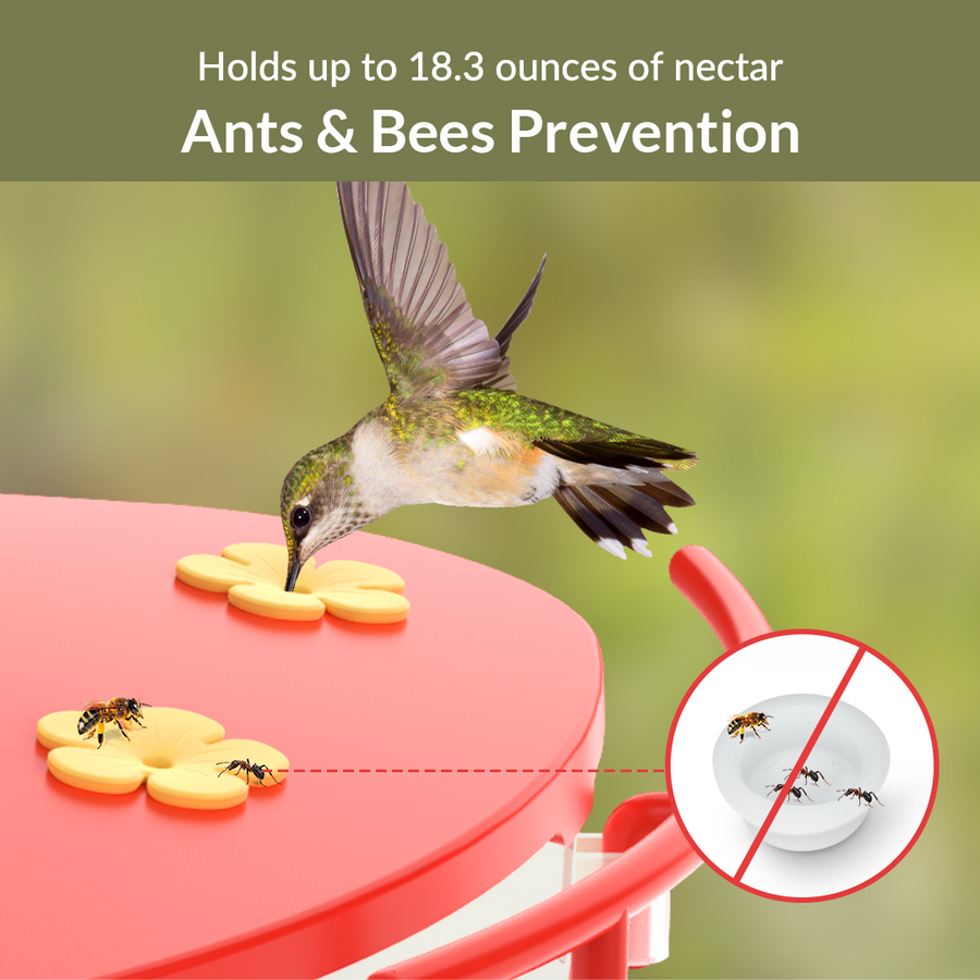 Birdfy Hummee  AntsBees prevention